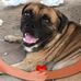 Yedid Aurora Llamas Rodruiguez - Facebook