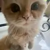 auroralora7 - @auroralora7 - TikTok