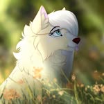 Aurora Love - @auroralov.e - Instagram