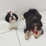 Aurora & Luke - @thecheetos_ - Instagram