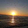 lundstromaurora - @lundstromaurora - TikTok