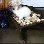 @aurora.marshall.8133304 - Instagram