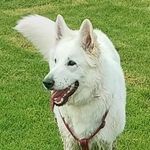 Aurora Marshall - @aurora_owecarose_gin_lane_1751 - Instagram