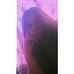 Aurora Pace - Facebook