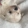 Paris Aurora - @paris.aurora - TikTok