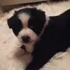 Paris&Aurora - @paris_zeus_aurora - TikTok