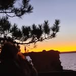 Aurora Ritter - @microwave_oven420 - Instagram