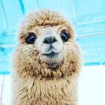 Aurora. rizzo.1625 - @aurora.rizzo.1625 - Instagram
