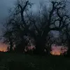 Aurora Rizzo - @_.aurora.rizzo_ - TikTok