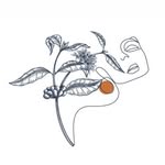 Aurora Roasters - @auroraroasters - Instagram