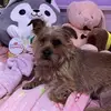 Aurora Robinson - @aurora.robinson47 - TikTok