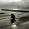 aurorarocco14 - @aurorarocco14 - TikTok