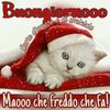 auroramariotti - @rockaurora - TikTok