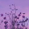 aurorarockcrystals - @aurorarockcrystals - TikTok