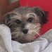 Aurora Romo - Facebook