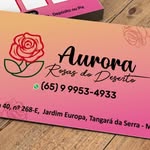 AURORA ROSAS DO DESERTO 🌸 - @aurorarosasdodeserto - Instagram