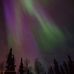 Aurora Ross - Facebook