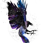 raven aurora roth - @ravenauroraroth - Instagram