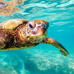Ocean Aurora Rowland - @oceanaurorarowland - Instagram