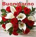 Aurora Russo - Facebook