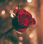 Aurora Ruvalcaba - Facebook