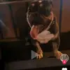 Aurora Stephania Ruvalcaba Esp - @aurora.stephania4 - TikTok