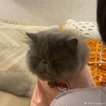 AuroraRyder - @auroraryderv - Instagram