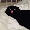 aurorasargenti_ - @aurorasargenti_ - TikTok
