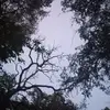Aurora Schaefer - @ashedwards52 - TikTok