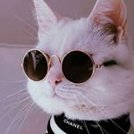 @_aurora_shine - Instagram