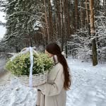 Aurora - @aurora__shine - Instagram