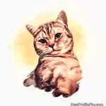 Aurora the British Shorthair - @aurora_britishshortie - Instagram