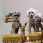 Aurora Torres - @auroratorres1953 - Instagram