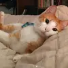 Aurora Torres Brione - @auroratoba - TikTok