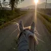 auroravenegas15 - @auroravenegas15 - TikTok