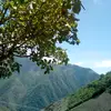 auri - @auroraverdugo1 - TikTok