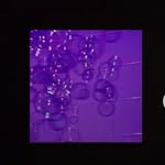 @auror_aweber - Instagram