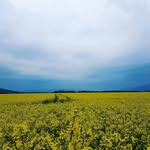 Aurora - @aurora_wu_wei - Instagram