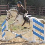Austen-miller - @horselover_austen - Instagram