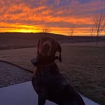 Austin Ackerman - @austin_ack09 - Instagram