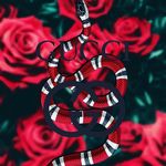 Austin Antoniazzi - @austin_antoniazzi_05 - Instagram