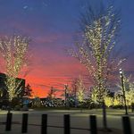 Austin Antonio - @austin_antonio1028 - Instagram