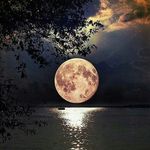 austin_archer_ - @austin_archer_ - Instagram