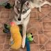 Austin Armer - Facebook