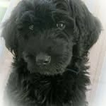 @aust.inaron - Instagram