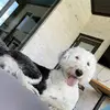 Austin Ash - @austin.ash1 - TikTok