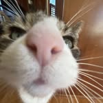 Austinatchison - @austin_rizzle - Instagram