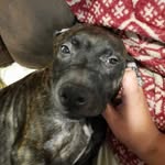 Austin Bauer - @austin.bauer.7127 - Instagram
