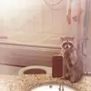 Austin Avalos - @austin.avalos19 - TikTok