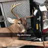 Austin Balkcum - @austinbalkcum - TikTok